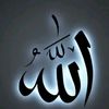 user6520616884828