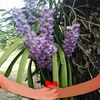 user8140081684132