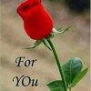 user750853024