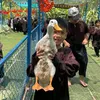 khoinguyen280115