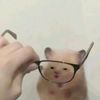 utipiuu