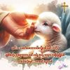 shwechit875