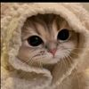 foufa5662