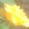 kokozaw4789