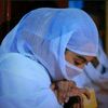 absalat328