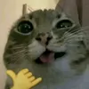 theolit