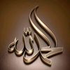 asser.ahmed195