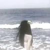 wa_r_18