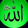 user793462237298