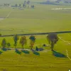ali_bas24