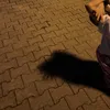 emili_11345