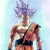 zein.motaz