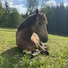 edit_videos3426