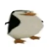 nice_man21