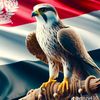 sakr7625718