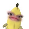 raa_26.4