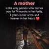 salehashaikh58