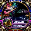 aswar4842