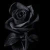 s_.0h.m