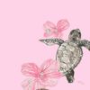 butterfly._555