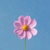 all_yours_3