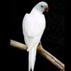 selvan5928