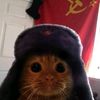 el.gato.sovitico1