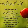 fatima.muhammadi96
