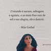 leilaferreira324