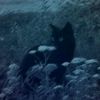 liz__2_19