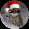 tyler0_ol