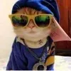 pipa_random