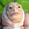rogerbernall