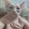 wompawacka