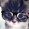selenam.1526e9oanxmf..m5
