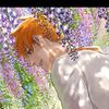 animesigmaandsoccer