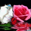 lucia.da.silva44