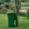 hotboylaocai