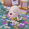sunshinehqppy