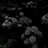 truonghuynhanhthu23