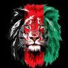 irfan.zadran40