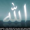 ahmedsalah18760