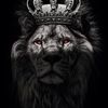 william.castillo536