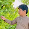saadukhan223