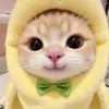 cuhanhtay456