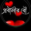 user5929619205207