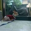 ken..0_1