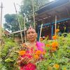 bishnu.gc520