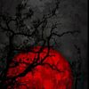 munna_0126