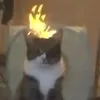 stillm67